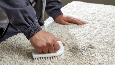 Professional Rug Cleaning Berwick